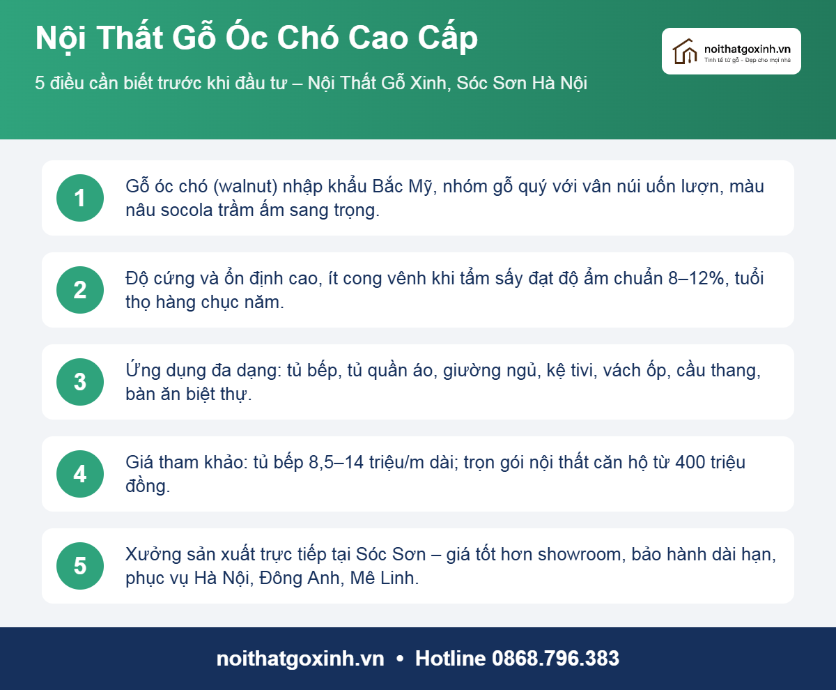 Infographic nội thất gỗ óc chó cao cấp